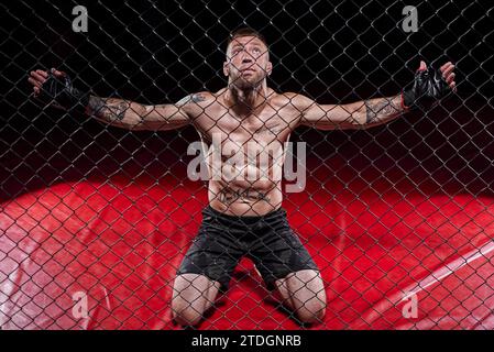 Image dramatique d'un combattant d'arts martiaux mixtes debout dans une cage octogonale. Le concept de sport, boxe, arts martiaux Banque D'Images