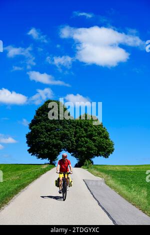 Cycliste sur une route de campagne de livre d'images près de Berg, lac Starnberg, haute-Bavière, Bavière, Allemagne Banque D'Images