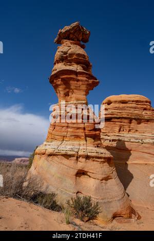 Le Chess Queen ou Totem Pole est une tour de grès érodée près des South Coyote Buttes, Vermilion Cliffs National Monument, Arizona. Banque D'Images