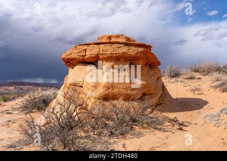 Formations rocheuses de grès navajo érodées près des South Coyote Buttes, Vermilion Cliffs National Monument, Arizona. Banque D'Images