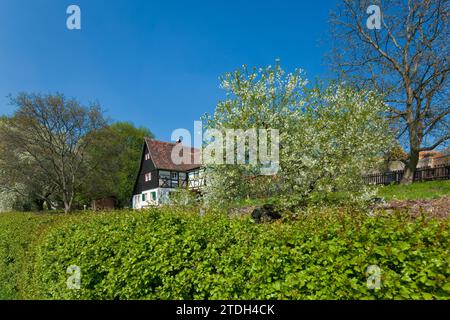Maison à colombages à Pillnitz au printemps Banque D'Images