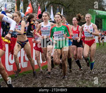 Fien Paulussen, de Belgique, et Petra Santos, du Portugal, concourent dans la course féminine U20 aux Championnats d’Europe de cross-country SPAR, à Laeken Park Banque D'Images