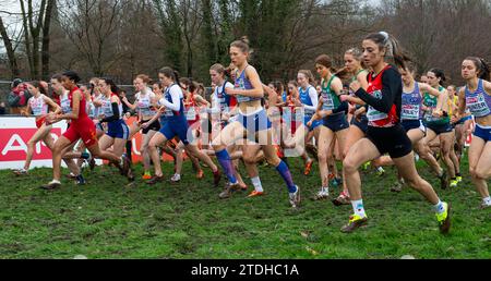 Innes Fitzgerald de Grande-Bretagne et ni en compétition dans la course féminine U20 aux Championnats d’Europe de cross-country SPAR, Laeken Park à Bruxelles, BE Banque D'Images