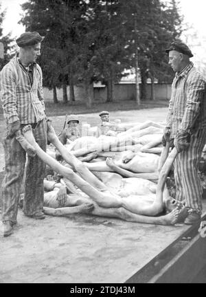 Dachau (Allemagne) avril 1945. Certains prisonniers portent les corps de ceux qui ont été tués dans le camp de concentration après sa libération à la fin du mois d'avril. Crédit : Album / Archivo ABC Banque D'Images