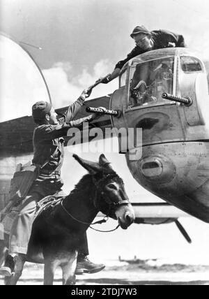 Italie, juin 1944. La Seconde Guerre mondiale Sur un aérodrome italien : un sergent américain à cheval sur un âne livre une lettre au mitrailleur de queue d'un avion. Crédit : Album / Archivo ABC / Pando Banque D'Images