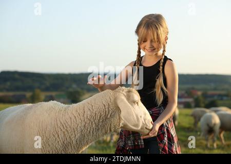 Fille nourrissant des moutons sur le pâturage. Animaux de ferme Banque D'Images