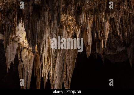 Les teintes dorées colorent les stalactites au plafond du parc national des grottes de Carlsbad Banque D'Images