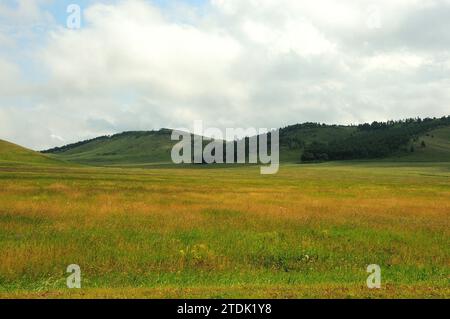 Un vaste pâturage plat avec de l'herbe jaunie au bord d'une crevasse dans une crête de hautes collines avec une forêt clairsemée de conifères. Khakassia, Sibérie, Russie. Banque D'Images