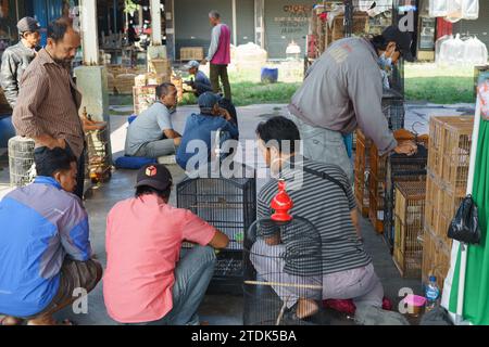 Résidents vendant divers oiseaux exotiques au marché aux animaux traditionnels de Pasar Pon à Semarang, Indonésie - 18 décembre 2023. Banque D'Images