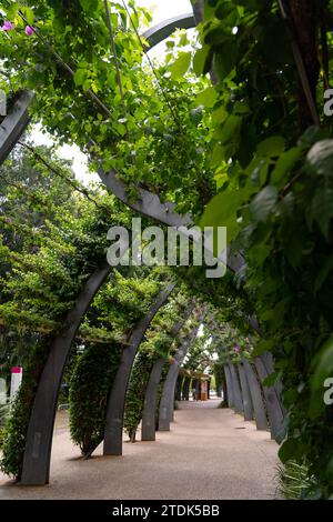 Grand Arbour dans South Bank Parklands, Brisbane, Queensland, Australie Banque D'Images