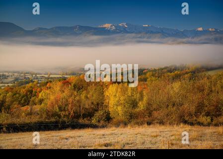 Forêt avec des couleurs d'automne, brouillard et gel sur un matin d'automne près de GER. La plage Cadí en arrière-plan. Cerdagne, Gérone, Catalogne, Espagne, Pyrénées Banque D'Images