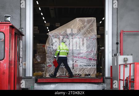 PRODUCTION - 07 décembre 2023, Hesse, Francfort-sur-le-main : un employé vérifie une palette finie à une écluse dans le hall de fret aérien de DB Schenker à Cargo City South à l'aéroport de Francfort avant de poursuivre le transport. Le fret aérien permet de transporter une grande variété d’objets sur les continents. Les choses doivent bouger particulièrement rapidement à l'approche de Noël. (À dpa « quand chaque centimètre compte - poussée de fin d'année dans le hall de fret aérien ») photo : Arne Dedert/dpa Banque D'Images