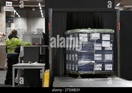 PRODUCTION - 07 décembre 2023, Hesse, Francfort-sur-le-main : une palette entre dans un scanner à rayons X pour l'inspection des palettes et du fret dans le hall de fret aérien de DB Schenker à Cargo City South à l'aéroport de Francfort. Le fret aérien permet de transporter une grande variété d’objets sur les continents. Les choses doivent bouger particulièrement rapidement à l'approche de Noël. (À dpa « quand chaque centimètre compte - poussée de fin d'année dans le hall de fret aérien ») photo : Arne Dedert/dpa Banque D'Images