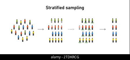 Échantillonnage aléatoire stratifié méthode statistique techniques Illustration de Vecteur