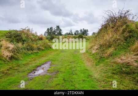 Fortifications au parc d'État de fort Stevens dans l'Oregon, États-Unis Banque D'Images