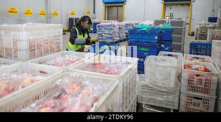 HUAI'AN, CHINE - 19 DÉCEMBRE 2023 - des ouvriers trient des matériaux dans un entrepôt de la ville de Huai 'an, province du Jiangsu, Chine, le 19 décembre 2023. Banque D'Images