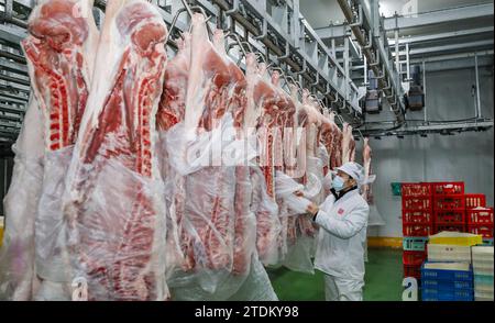 HUAI'AN, CHINE - 19 DÉCEMBRE 2023 - des ouvriers trient des matériaux dans un entrepôt de la ville de Huai 'an, province du Jiangsu, Chine, le 19 décembre 2023. Banque D'Images