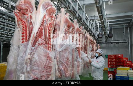 HUAI'AN, CHINE - 19 DÉCEMBRE 2023 - des ouvriers trient des matériaux dans un entrepôt de la ville de Huai 'an, province du Jiangsu, Chine, le 19 décembre 2023. Banque D'Images