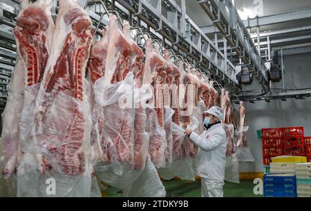 HUAI'AN, CHINE - 19 DÉCEMBRE 2023 - des ouvriers trient des matériaux dans un entrepôt de la ville de Huai 'an, province du Jiangsu, Chine, le 19 décembre 2023. Banque D'Images