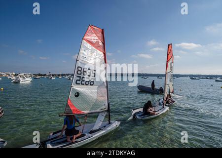 Estany des Peix, Ecole de voile, Formentera, Iles Pitiuses, Communauté des Baléares, Espagne Banque D'Images