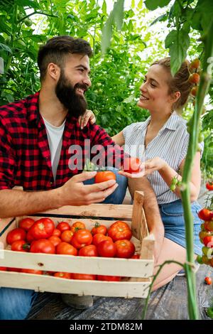 Famille de ferme réussie, couple engagé dans la culture de légumes biologiques en serre, tomate Banque D'Images