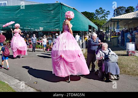 DAMES ROSES SUR PILOTIS, ARTISTES DE RUE Banque D'Images