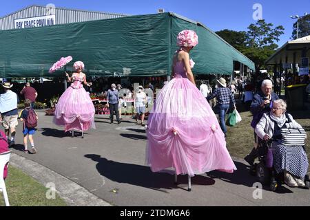 DAMES ROSES SUR PILOTIS, ARTISTES DE RUE Banque D'Images