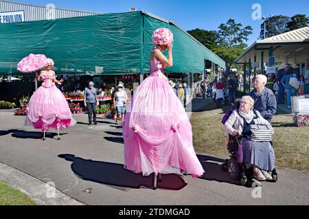 DAMES ROSES SUR PILOTIS, ARTISTES DE RUE Banque D'Images