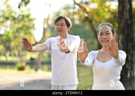 Beau couple actif d'âge moyen faisant des exercices de Qi Gong ou de Tai Chi pour la relaxation et la santé Banque D'Images