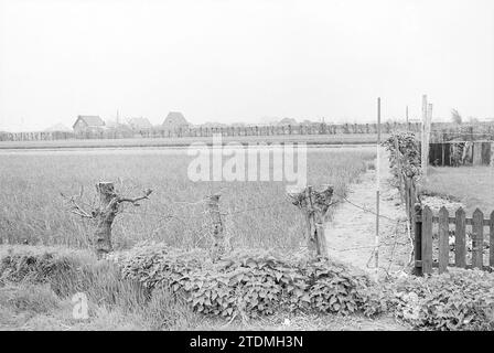 Morceau de terre agricole, Whizgle News from the Past, adapté pour l'avenir. Explorez les récits historiques, l'image de l'agence néerlandaise avec une perspective moderne, comblant le fossé entre les événements d'hier et les perspectives de demain. Un voyage intemporel façonnant les histoires qui façonnent notre avenir Banque D'Images