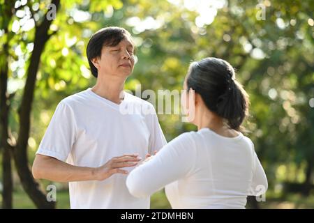 Calme couple senior faisant de l'exercice Qi Gong ou Tai Chi dans le parc d'été Banque D'Images