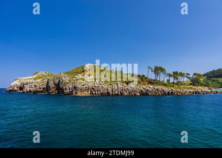 Vue sur l'océan et l'île rocheuse de San Nicolas, couverte d'herbe et d'arbres. Journée ensoleillée sans nuages. Lekeitio, Bizkaia, pays Basque, Espagne. Banque D'Images