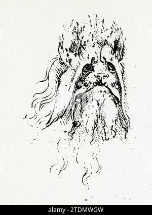 LEONARDO DA VINCI.MONSTER HEAD.PEN ET DESSIN À L'ENCRE Banque D'Images