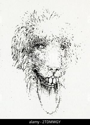 LEONARDO DA VINCI.MONSTER HEAD.PEN ET DESSIN À L'ENCRE Banque D'Images