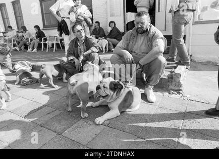 100 Bulldogs sur la plage de riche, Honden, Bloemendaal, Boulevard Barnaart, 18-03-1990, Whizgle nouvelles du passé, adaptées à l'avenir. Explorez les récits historiques, l'image de l'agence néerlandaise avec une perspective moderne, comblant le fossé entre les événements d'hier et les perspectives de demain. Un voyage intemporel façonnant les histoires qui façonnent notre avenir Banque D'Images