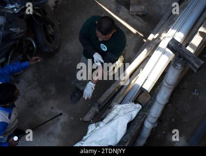 Guwahati, Guwahati, Inde. 19 décembre 2023. Un léopard adulte attaque un fonctionnaire forestier en essayant de tranquilliser le léopard dans une zone résidentielle à Fatashil Ambari à Guwahati Assam Inde le mardi 19 décembre 2023 (image de crédit : © Dasarath Deka/ZUMA Press Wire) USAGE ÉDITORIAL SEULEMENT! Non destiné à UN USAGE commercial ! Crédit : ZUMA Press, Inc./Alamy Live News Banque D'Images