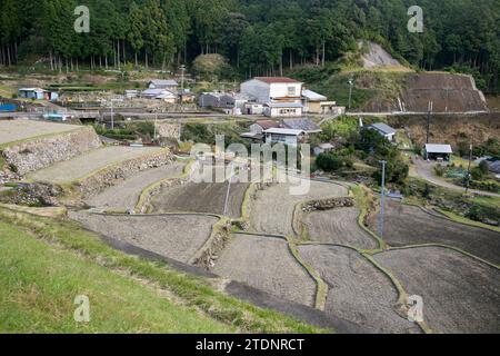 Rizières au milieu des montagnes de la préfecture de Wakayama au Japon. Banque D'Images