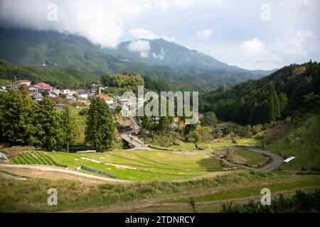 Rizières au milieu des montagnes de la préfecture de Wakayama au Japon. Banque D'Images