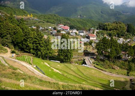Rizières au milieu des montagnes de la préfecture de Wakayama au Japon. Banque D'Images