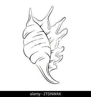 Logo Seashell dessiné à la main dans le style dessin au trait. Illustration vectorielle isolée sur fond blanc. Illustration de Vecteur