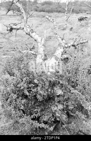 Excursion Water Company Haarlem, Water Supply, Haarlem, pays-Bas, 07-05-1979, Whizgle nouvelles du passé, adaptées à l'avenir. Explorez les récits historiques, l'image de l'agence néerlandaise avec une perspective moderne, comblant le fossé entre les événements d'hier et les perspectives de demain. Un voyage intemporel façonnant les histoires qui façonnent notre avenir Banque D'Images