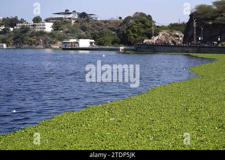 Ajmer, Inde. 19 décembre 2023. Ruisseau de jacinthe d'eau à l'intérieur du lac Anasagar à Ajmer, Rajasthan, Inde, le 18 décembre 2023. Photo de ABACAPRESS.COM crédit : Abaca Press/Alamy Live News Banque D'Images