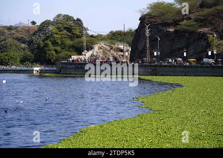 Ajmer, Inde. 19 décembre 2023. Ruisseau de jacinthe d'eau à l'intérieur du lac Anasagar à Ajmer, Rajasthan, Inde, le 18 décembre 2023. Photo de ABACAPRESS.COM crédit : Abaca Press/Alamy Live News Banque D'Images