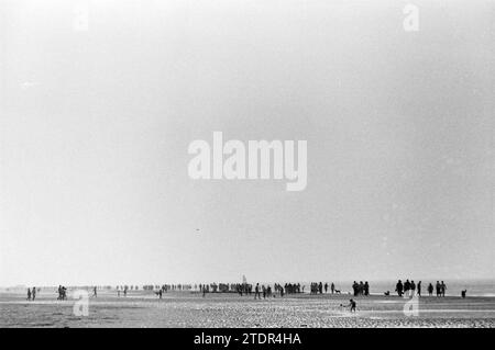 Plage animée Zandvoort, Plage et plages, Zandvoort, 18-03-1990, Whizgle nouvelles du passé, adaptées à l'avenir. Explorez les récits historiques, l'image de l'agence néerlandaise avec une perspective moderne, comblant le fossé entre les événements d'hier et les perspectives de demain. Un voyage intemporel façonnant les histoires qui façonnent notre avenir Banque D'Images