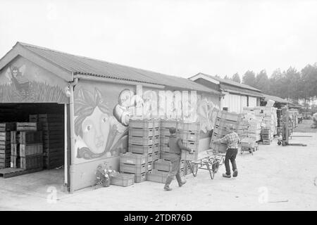 Pépinière dynamique biologique 4 saisons, pépinières, cultivateurs, 16-07-1984, Whizgle nouvelles du passé, adaptées à l'avenir. Explorez les récits historiques, l'image de l'agence néerlandaise avec une perspective moderne, comblant le fossé entre les événements d'hier et les perspectives de demain. Un voyage intemporel façonnant les histoires qui façonnent notre avenir Banque D'Images