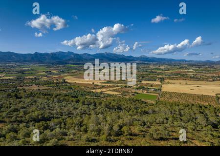 Vue aérienne du sommet du Puig de Santa Eugènia. En arrière-plan, la chaîne de montagnes de la Serra de Tramuntanta (Majorque, Îles Baléares, Espagne) Banque D'Images