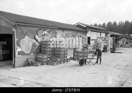 Pépinière dynamique biologique 4 saisons, pépinières, cultivateurs, 16-07-1984, Whizgle nouvelles du passé, adaptées à l'avenir. Explorez les récits historiques, l'image de l'agence néerlandaise avec une perspective moderne, comblant le fossé entre les événements d'hier et les perspectives de demain. Un voyage intemporel façonnant les histoires qui façonnent notre avenir Banque D'Images