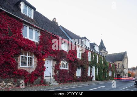 Angleterre, West Sussex, Midhurst, feuilles d'automne Banque D'Images