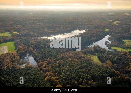 Vue aérienne, réserve naturelle NSG Kirchheller Heide, forêt d'automne avec Eisbachsee-Pfingstsee et lac de Noël, entouré d'arbres caduques automnaux Banque D'Images