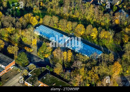 Vue aérienne, village de conteneurs Fernewaldstraße, entouré d'arbres caduques d'automne, Kirchhellen-Süd, Bottrop, région de la Ruhr, Rhénanie du Nord-Westphalie, G Banque D'Images